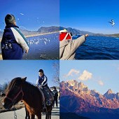 23������߹���·