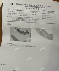 �޷��޶����ҵ��˰�֢Ҫ���� ����û��ǩ��զ�졭