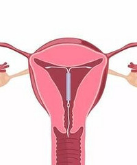 ����ϣ���з����� ����Ů���ϻ���