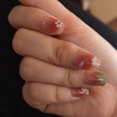 �����������