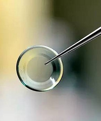 ���ӽ�����ʲô�۾��ã�OK�����д�˵����ô���𣿿ɺù�