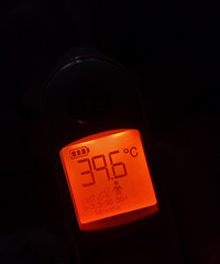 һ���µ�����������