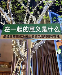 想双向奔赴!身份证十年之期已至而立仍孑然