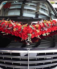 ��һɫ�󱼸㶨�� �򵥴��� װ�ξ��õĺܼ������Ĵ��ɫ