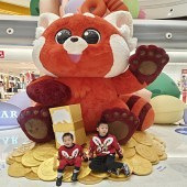 ����ͯ�껹��ѧϰ����