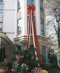 193��Ǯ������ӵ�е�ʿ��ͬ����鷿