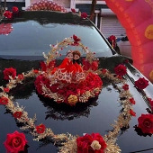 ��ɫ�鳵ϲ������