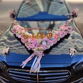 ���滨һ�㿴������