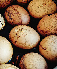 �Լ��ڼ���Ԥ�Ʋˣ����Ҷ��������