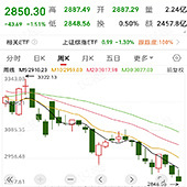 ����¥���������