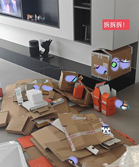 房子亏了50万,幸好装修还算满意!