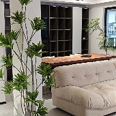 ������������鷿��