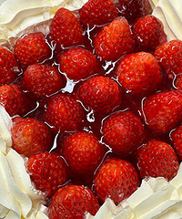 һ����һ������ȫû���� ̫�ó��ˣ�