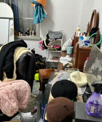 һ�϶���˫��̥�ļң��ࡢ�ҡ���ҳ�����������