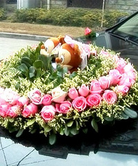 ��ͬ����Ļ鳵װ�� �Ӹ��Ի���ļ�� ����ż������ʻ�