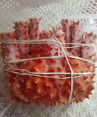 ��ҹ����Ӳ�����ˣ�