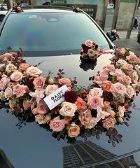 ɹ���ҵĸ���ɫϵ�鳵װ�� �����ÿ���