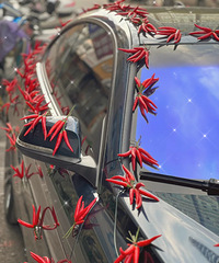 ȥ��غ�ϲ�ƿ����Ļ鳵 ����黹�ܳ������Ӽ� ����������