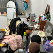 ��̥��ͥ���Ҳ�