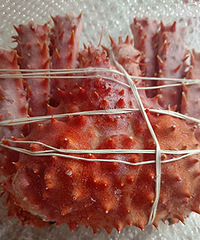 ��ҹ����Ӳ�����ˣ�