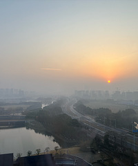 好多了都在围观大熊猫 大熊猫可能也已经习惯了吧!