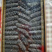 ����Ӧ����ô�ݣ�