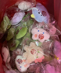 ������������׼��������ȫ���������