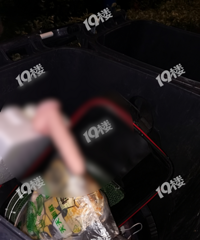 有点污!傍晚在公寓垃圾桶里看到…