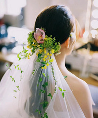 ���ÿ����ٲ���ͷɴ