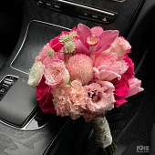 ��ɫϵ��������