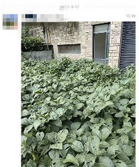 ���ף����������ǽ���ھӼ��ֲˣ�