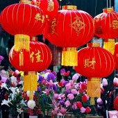 ���з����겻����