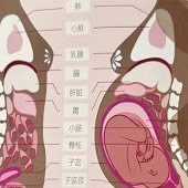 Ƶ�������ӵĴ���