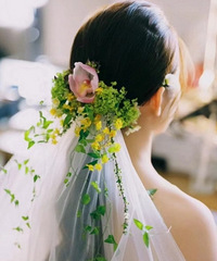 ���ÿ����ٲ���ͷɴ