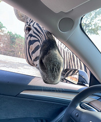 ���㻦������ �Ƽ���Ҵ�����ȥ��ͨ����԰��̫�����ˣ�