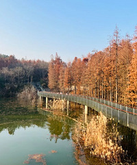 ��ɽ��ˮ��ɭ�� ������ů�͵ĺʹ���һ��