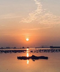 ��������޴򿨸���ƽ̶��������ɳ̲ԽҰ�� ����ɳ̲�ߵ�������