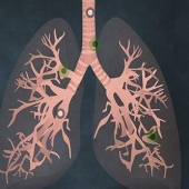 ֧ԭ����״�Ⱦ�Ծ���