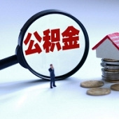 ���̴���������