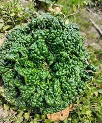 ����һ�ʺ��Ӻö���ҵ��û��ɣ�����һ�䣺��ɶ���ֲ������쿪ѧ