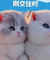 91������ ���׻��鹤�� �з��� ϣ���๵ͨ