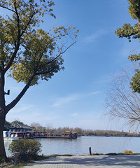 ���ڹ�����������ݳԷ��� ������ǰ ������ҳ��Ǽ� ������ȥ