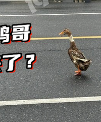 �������ؽ����Ҵ���·��