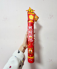 CoCo��һ�ڶ��������̲� �ر�����˼��ϲ��Ҳ�ܿɰ�