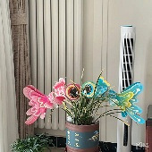 ϲ��ɰ��Ľ������