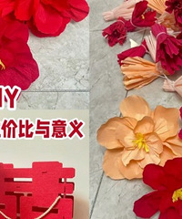 ������̫��DIY��ʡ��һ���Ǯ��