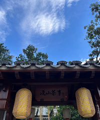 打卡湖州长兴浅山茶事!休闲放松一下午!