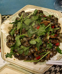 ����ǰ�������ʵ�üë �����Ƽ�ֱ���գ�