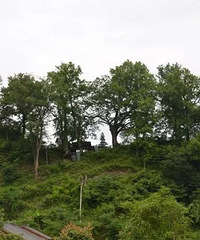 �ô�����ȥɨĹ����û��ʲô�ɻ�ģ�