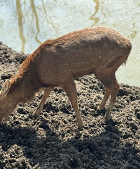 �����԰���ʺϴ���ȥ�棡�˺��� ���滹�и�¹԰